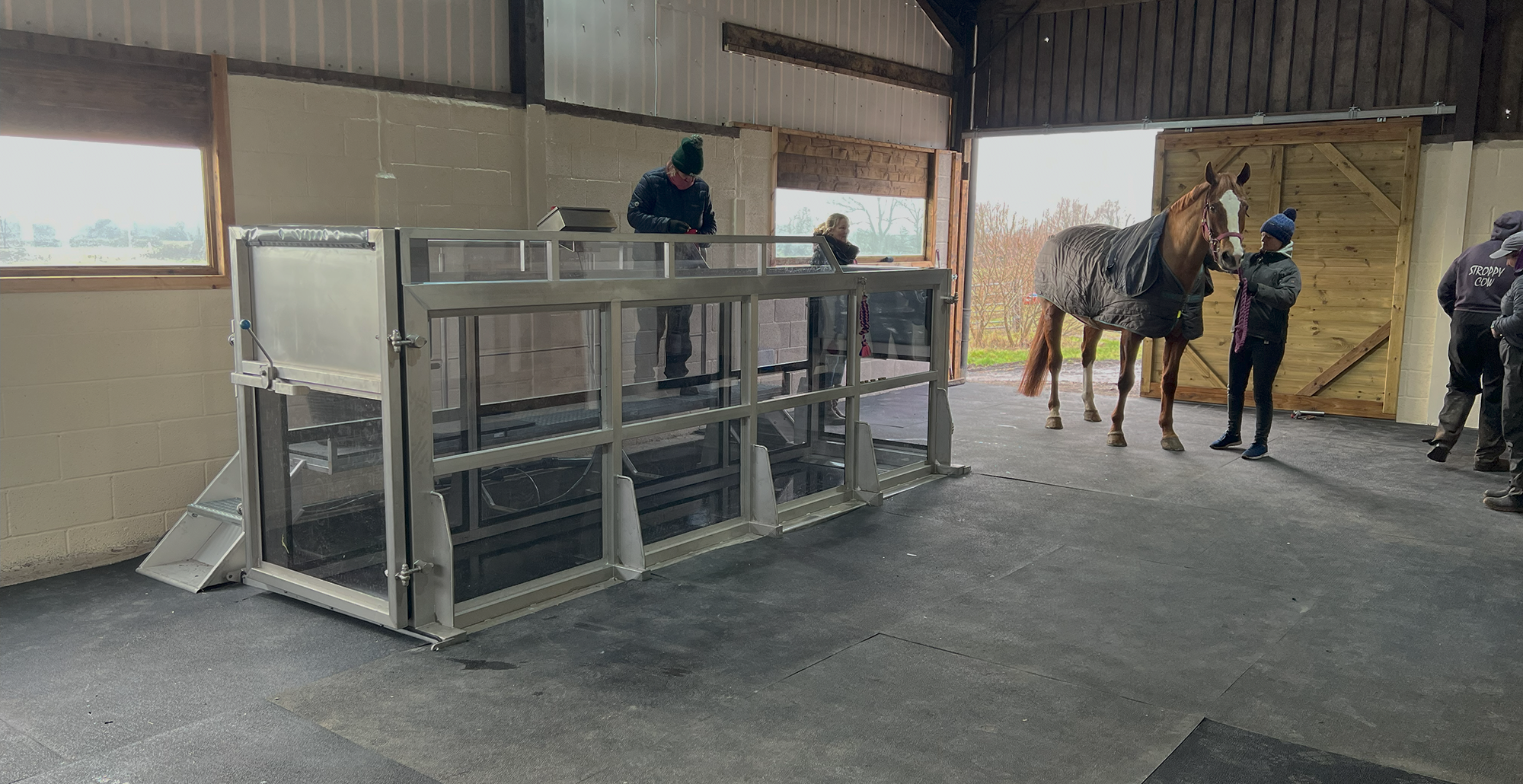Horse at water treadmill facility