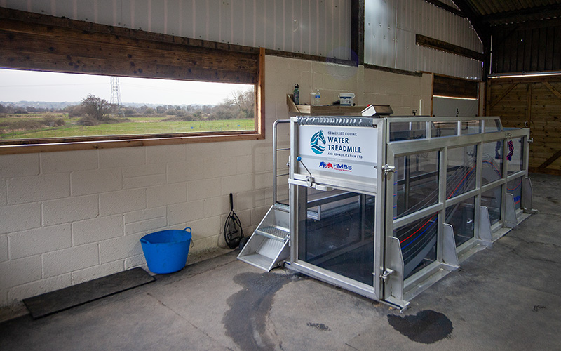 Somerset Equine Water Treadmill Facility